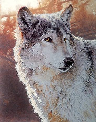 Wildlife Acrylic Painting Techniques