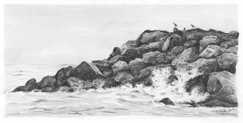 how to draw water