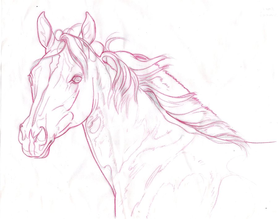 color pencil art for beginners
