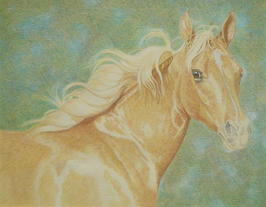how to draw a horse step by step realistic