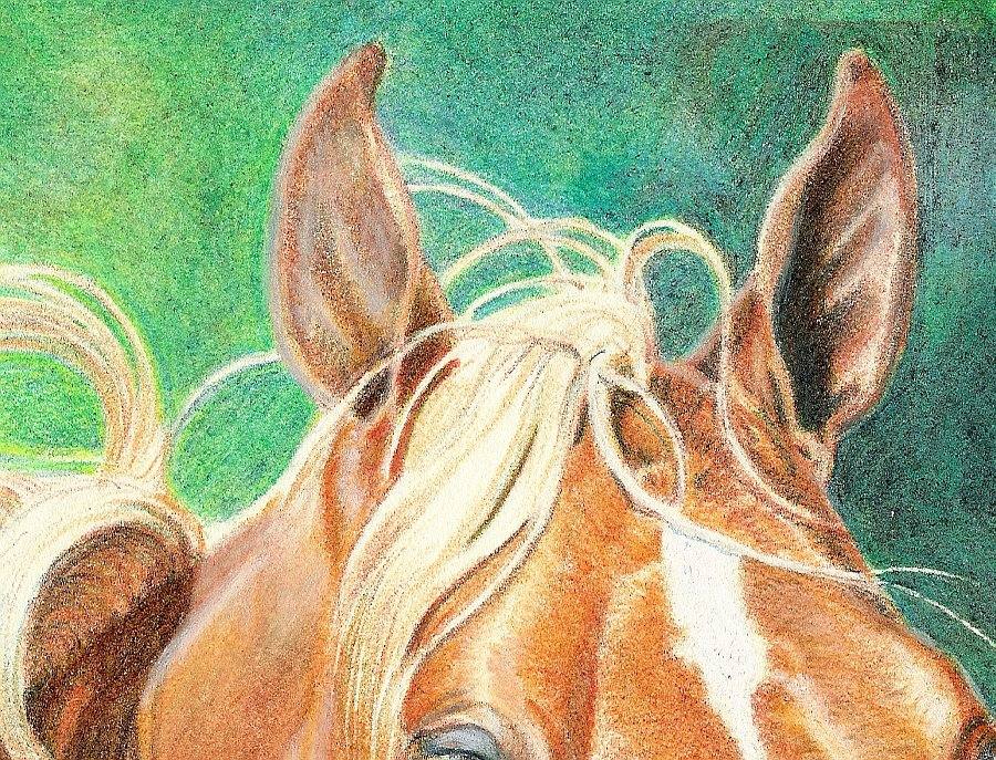 lewis-carrie-palomino-filly-28
