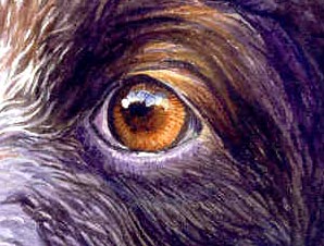 sketch-eyes4